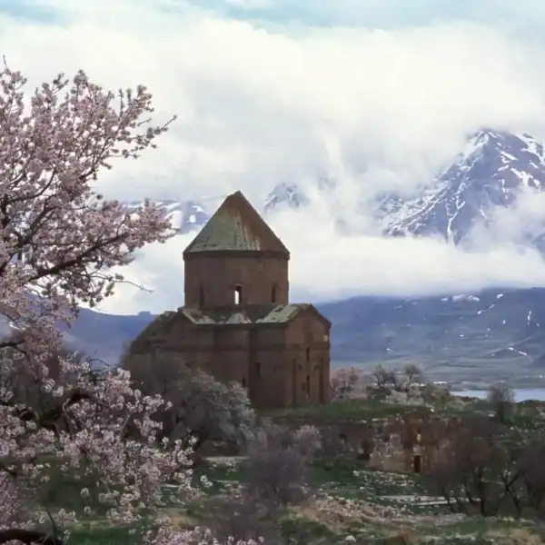 تور وان