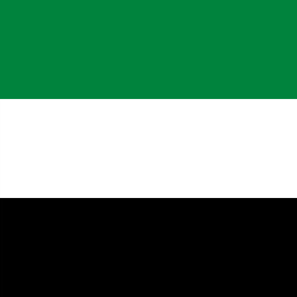 ویزا دبی