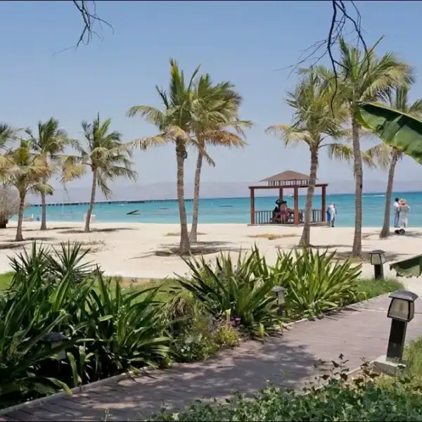تور کیش